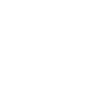 Alpaca T-shirt Gift