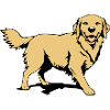 golden_retriever_bunt_T shirt_Geschenk