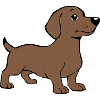 T-shirt chien teckel cadeau