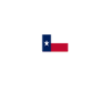 Texas Dallas Motif with Flag