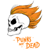 PUNKS NOT DEAD #1 - steam punk'n'roll