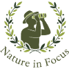 Nature in Focus