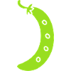 French bean