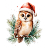 Weihnachtseule im Santa Hut