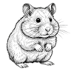 Hamster