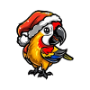 Parrot Christmas
