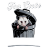 Funny Opossum