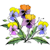 Fleur