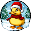Santa Claus Duckling