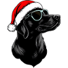 Chiens Noël / Père Noël Chien