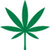 Cannabis / Marijuana / Hemp Leaf (Green)