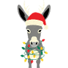 Donkey Elf Noël Drôle Cadeau
