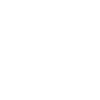Flash
