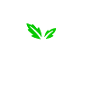 Mojito Heart Cocktail Mint Summer Drink