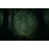 Dino in the cloud forest