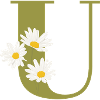 Grüne Gänseblümchen u Buchstabe