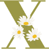 Letter x Green Daisies