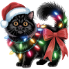 Chat de Noël