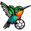Hummingbird Ball Soccer