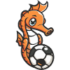 Soccer hippocampe