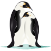Two elegantly drawn penguins