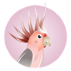 Elegant cockatoo in pastel circle
