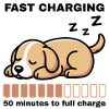 Powernap Dog – Fast Charging