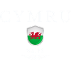 Welsh pride, I love Wales