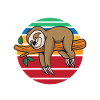 funny sloth not fast not furious