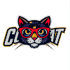 Cat with red glasses logo