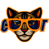 Cat with orange sunglasses