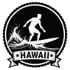 Hawaii Surf Wave Badge