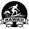 Surfer Hawaii Wave Banner