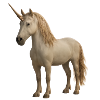 Cream Unicorn