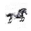 I'm just galloping through life