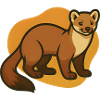 Cozy marten illustration
