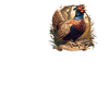 Pheasants Pheasant