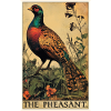 Pheasants Pheasant