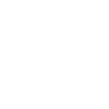 Chopin Electric Guitar Portrait