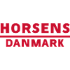 Horsens Denmark City Motif