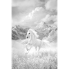 Pferd