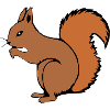 Squirrel T-shirt Gift Nature Lover
