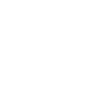 white bird white gift ornithologist