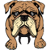 Bulldog chien T-shirt Chien Chemise Cadeau