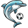 Football avec dauphins