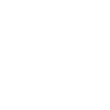 Alpaca Guitar Art Music Animal