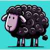 Black Sheep