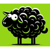 Black Sheep
