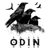 Odin Crow Edda Viking