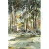 Waldlicht Im Aquarellwald